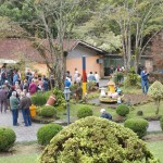 Festa nordestina da melhor idade no Estancia