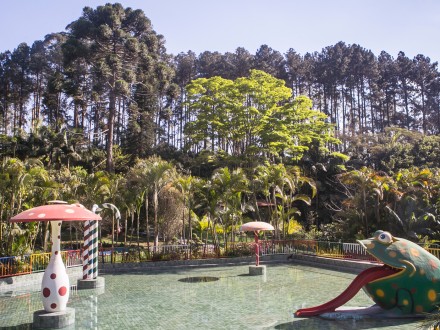 Piscina infantil e vegetacao
