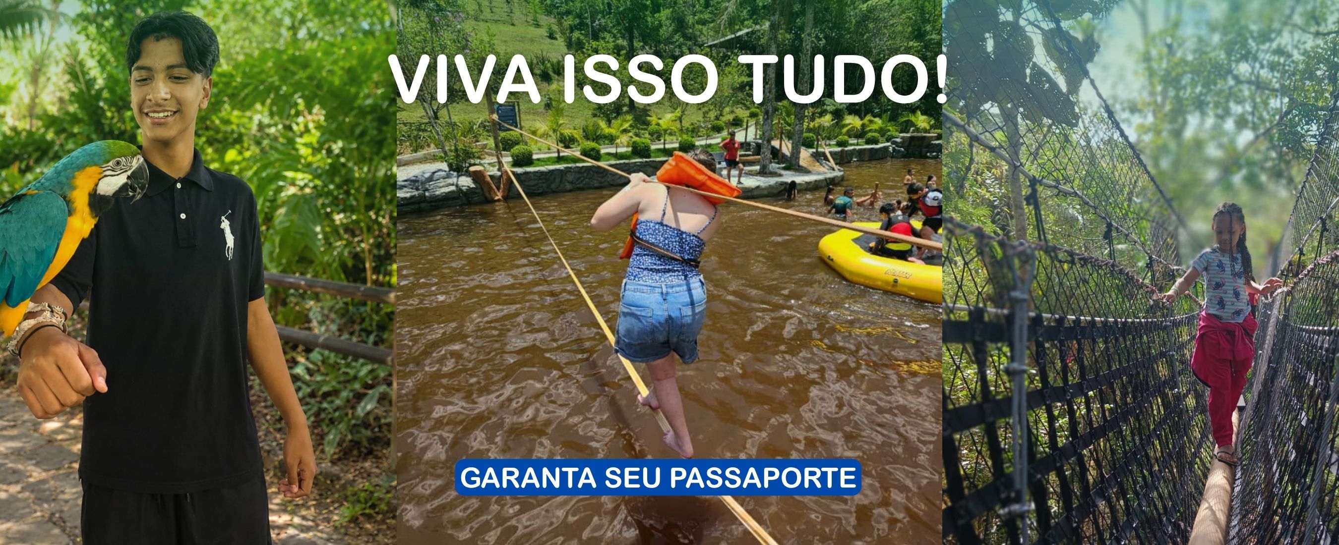 Viva isso tudo!