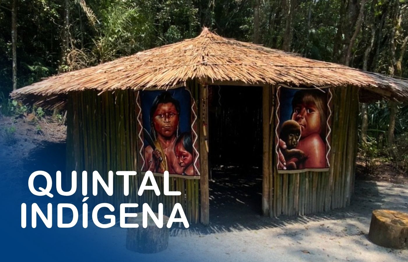 Quintal Indígena